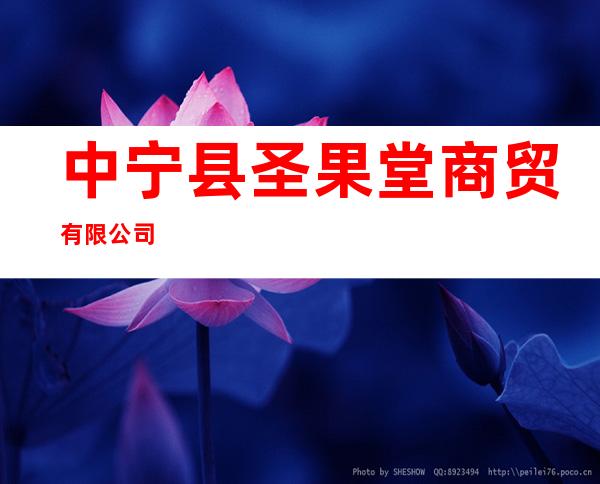 中宁县圣果堂商贸有限公司